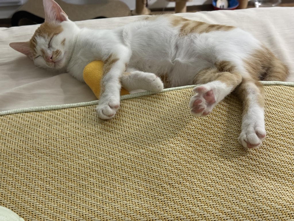 小凉席和安全屋 · 照片 17