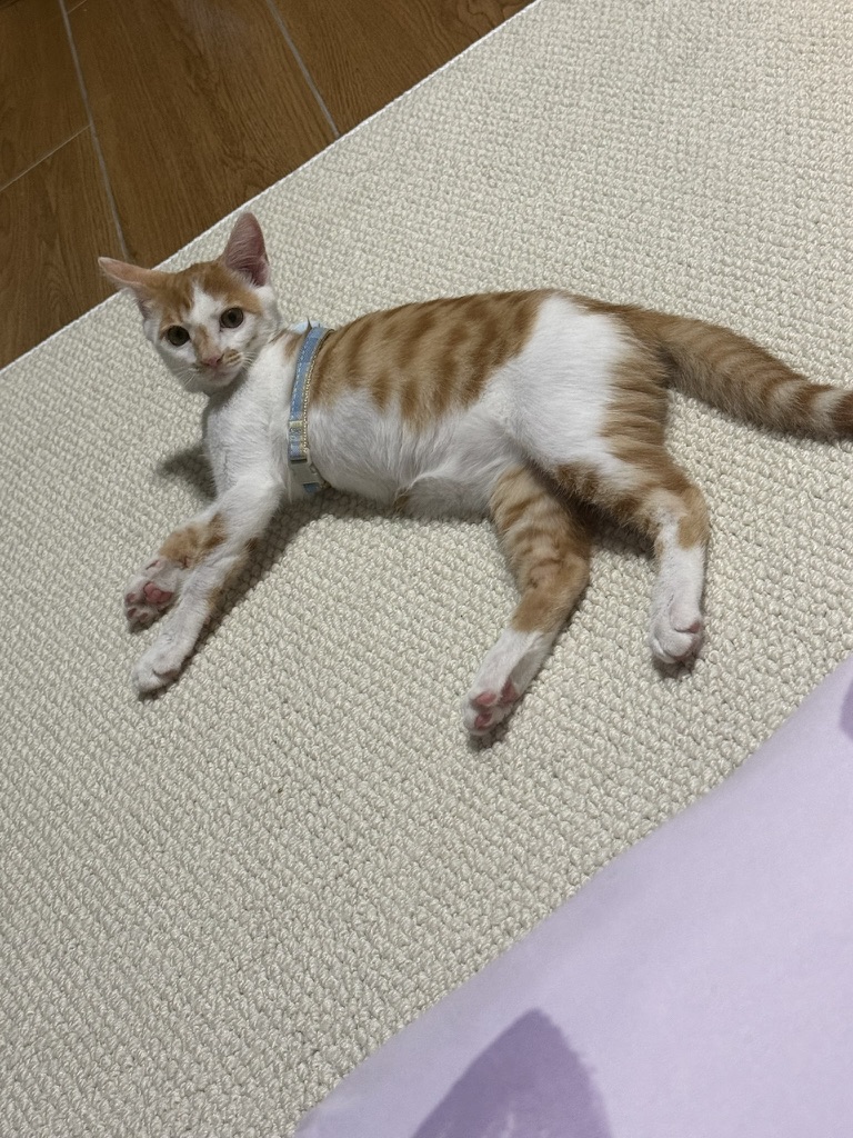 随地大小躺 · 照片 26