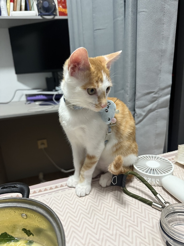 闻着饭香来 · 照片 27