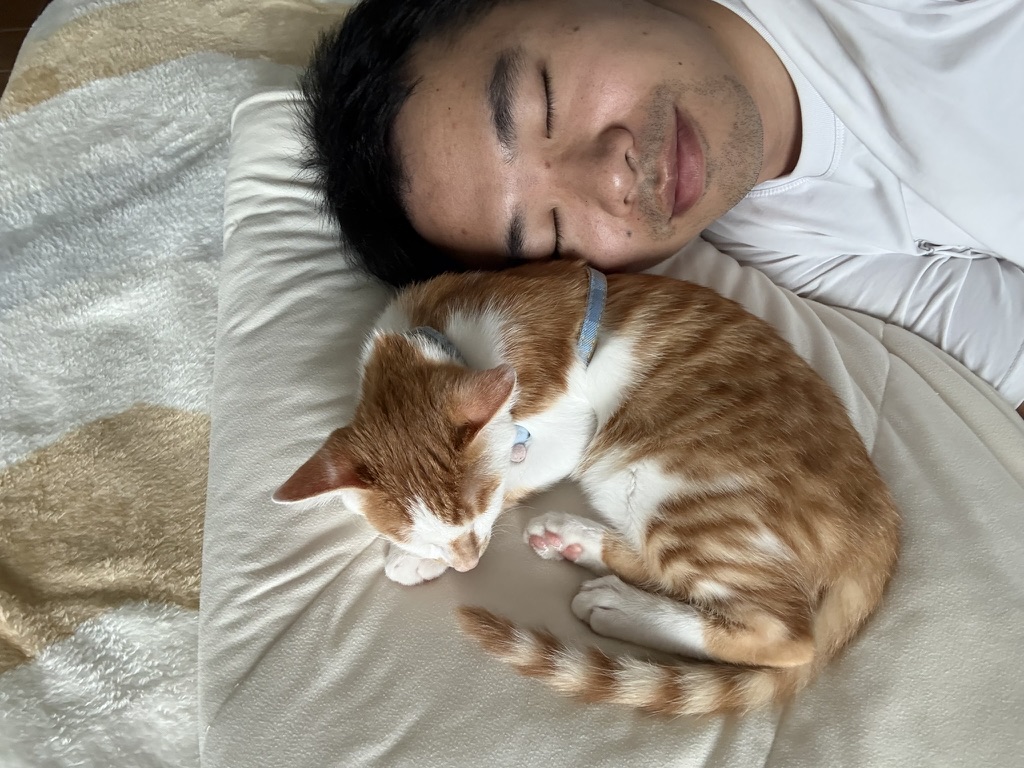 睡着了,就都不在乎了 · 照片 28