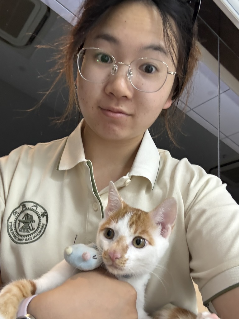 打完疫苗,继续巡视 · 照片 53