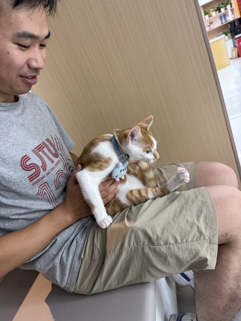 打完疫苗,继续巡视 · 照片 54