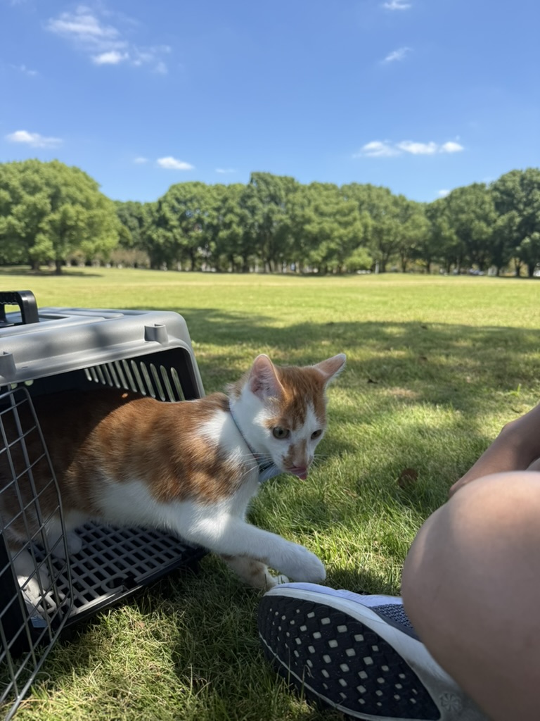 猛兽出笼 · 照片 63