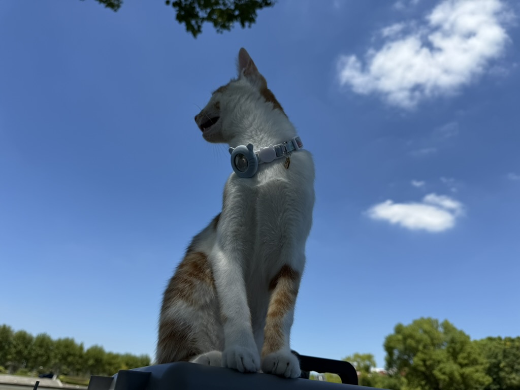 猛兽出笼 · 照片 64