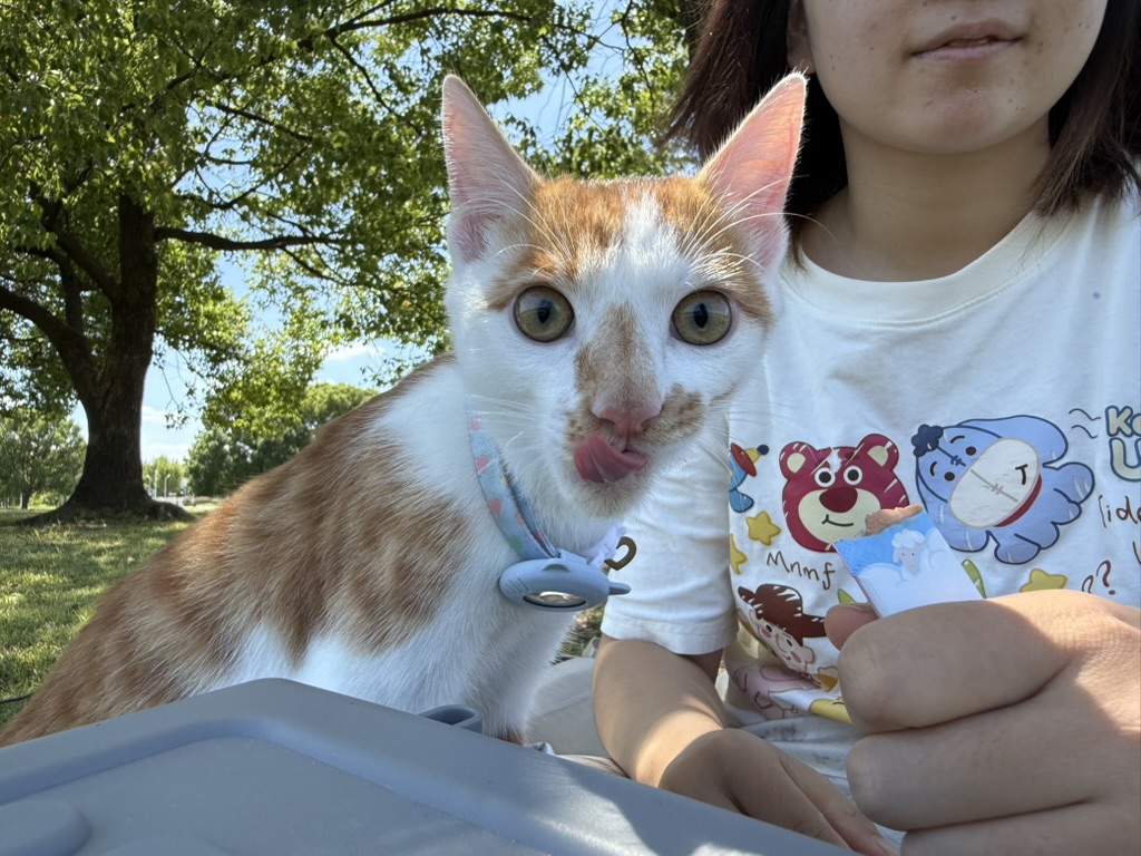 猛兽出笼 · 照片 65