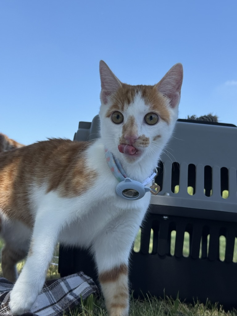 猛兽出笼 · 照片 66